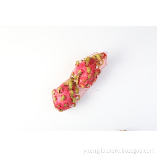 Hot Selling net bag for Dragon fruit